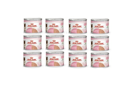 195gr Pate Mother&Babycat Royal Canin Mèo Mẹ mang thai và Mèo Con Hỗ trợ sức khỏe