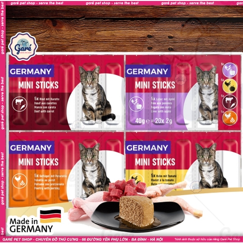 Que thưởng Fit Fun Mini