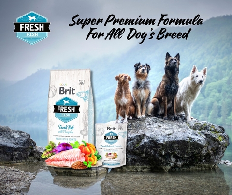 Hạt BRIT Fresh FISH with Pumpkin ADULT LARGE Muscles & Joints cho Chó trưởng thành giống lớn >25kg