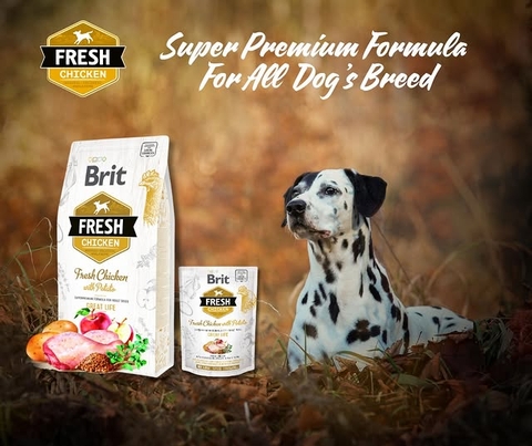 Hạt BRIT Fresh CHICKEN with Potato ADULT Great Life cho Chó trưởng thành