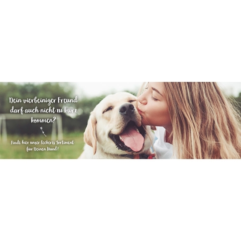 Que thưởng Vitakraft Stick Mèo