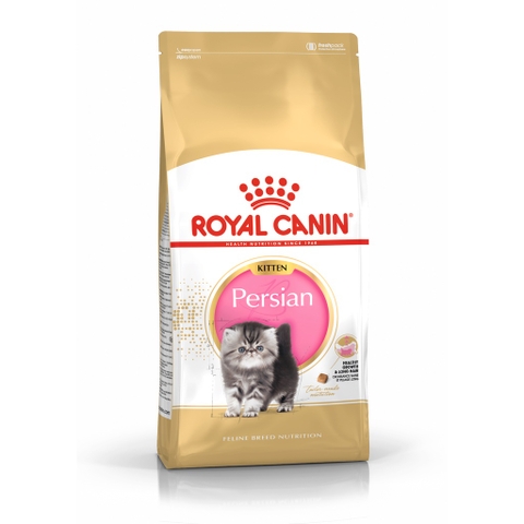 Hạt Kitten Persian Royal Canin Mèo con giống Ba Tư