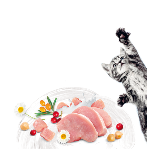 Hạt Brit Care KITTEN HEALTHY GROWTH & DEVELOPMENT Grain-Free cho Mèo Con