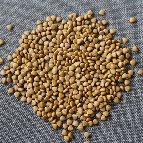 Hạt ANF cho Chó mọi giống 6 FREE ORGANIC 400gr