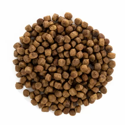 Hạt Brit Care KITTEN HEALTHY GROWTH & DEVELOPMENT Grain-Free cho Mèo Con