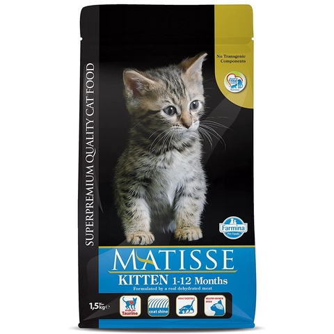 Matisse Kitten Farmina Mèo con 1 - 12 tháng Mèo mẹ , mèo con