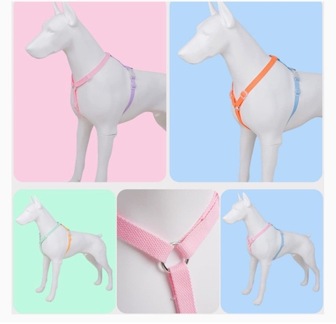 Xích thân Màu Pastel cho Chó Mèo