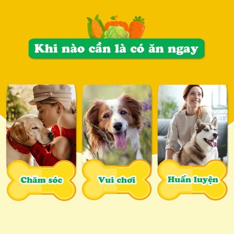 81992 Bánh Quy Rau Củ cho Chó Doggyman