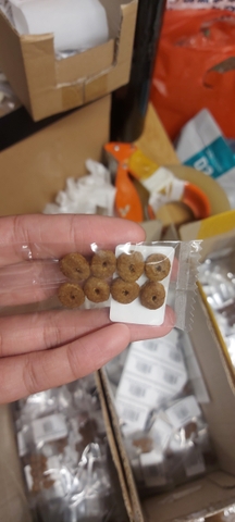 Hạt Fit 32 Royal Canin cho Mèo trưởng thành trên 12 tháng vận động thường xuyên