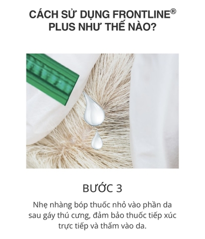 Nhỏ gáy FRONTLINE® PLUS FOR CATS