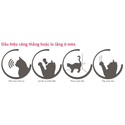 Dung dịch Beaphar Cat Comfort thư giãn cho Mèo