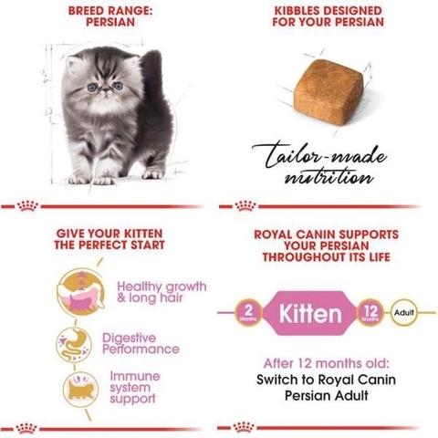 Hạt Kitten Persian Royal Canin Mèo con giống Ba Tư