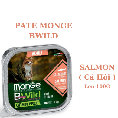 100g - Pate Monge BWild cho Mèo