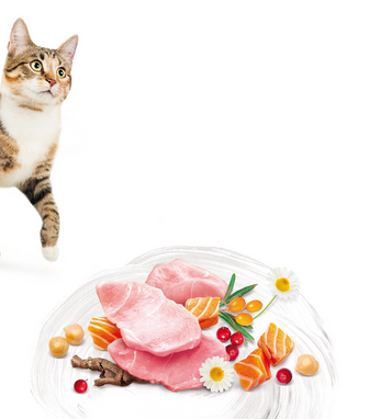 Hạt Brit Care Cat SENSITIVE HEALTHY DIGESTION & DELICATE Grain-Free cho Mèo