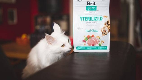 Hạt Brit Care Cat STERILIZED URINARY HEALTH Grain-Free cho Mèo tiết niệu