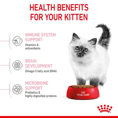 Hạt Kitten 36 Royal Canin dành cho mèo con từ 4 - 12 tháng tuổi