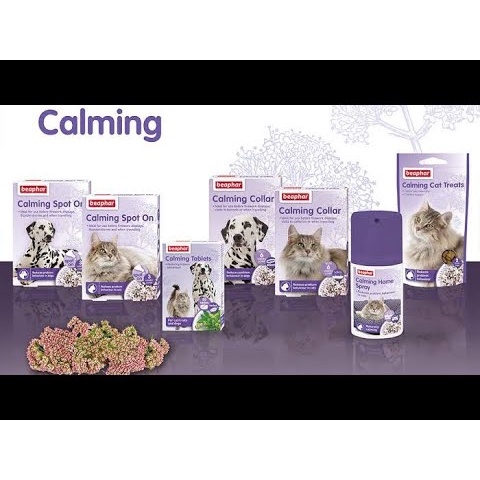 Vòng Beaphar Calming Collar cho Chó Mèo giảm căng thẳng
