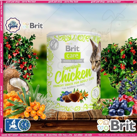 Hộp 100g Brit Care Bánh Thưởng SuperFruits