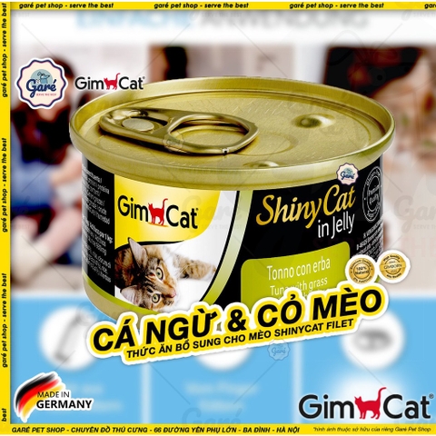 Shiny Cat Gimcat