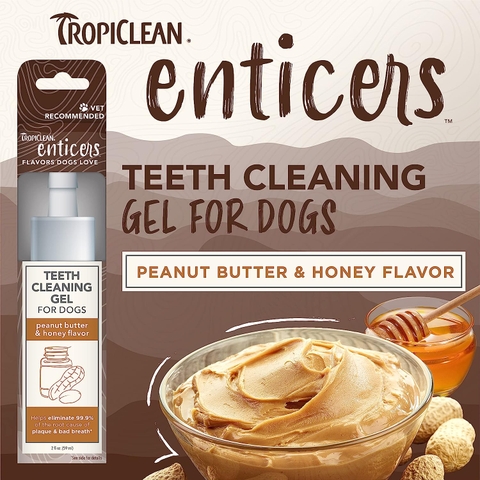 forDog Gel Enticers Peanut Butter & Honey Tropiclean - Gel vệ sinh răng miệng vị Bơ Đậu Phộng & Mật Ong cho Chó