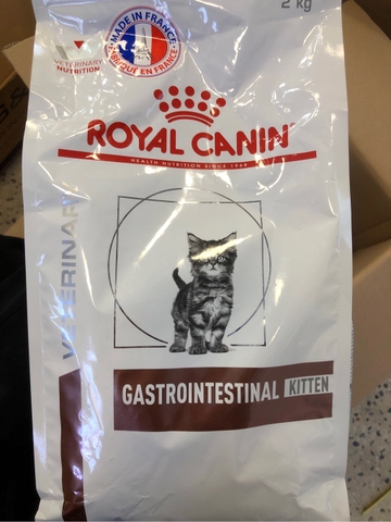 Hạt Kitten Gastrointestinal Royal Canin cho Mèo Con có vấn đề tiêu hóa