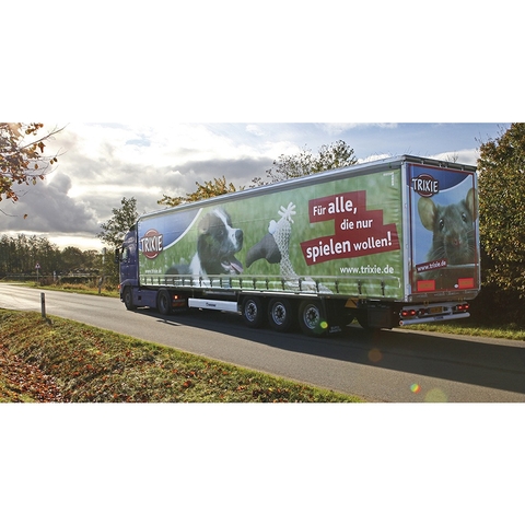 Que thưởng Vitakraft Stick Mèo