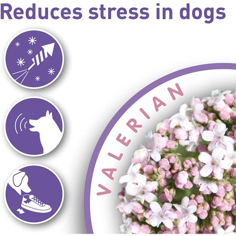 Vòng Beaphar Calming Collar cho Chó Mèo giảm căng thẳng