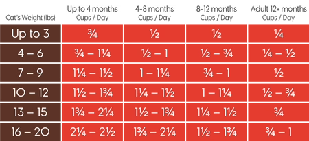 Hạt Solid Gold cho Mèo cao cấp nhập Mỹ từ Cừu, gà và trứng - Solid Gold Pet Garé Pet Shop