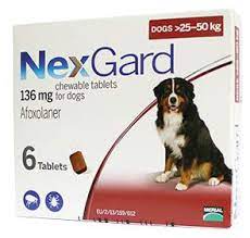NEXGARD Phòng và trị ve và bọ chét trên chó