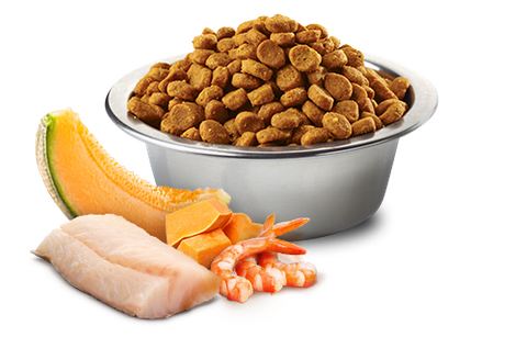 KITTEN Ocean -Cod, Shrimp, Pumpkin And Cantaloupe Melon | Hạt Farmina N&D Cá Tuyết, Tôm, Bí Ngô Và Dưa Đỏ cho Mèo Con
