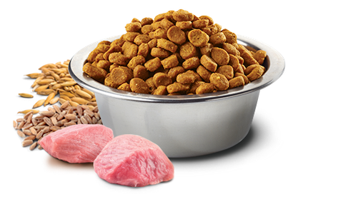 Hạt Ancestral Grain Adult Cat Chicken Spelt Oats Pomegranate Farmina N&D - Hạt Farmina Gà Lúa mì Yến mạch Lựu cho Mèo trưởng thành