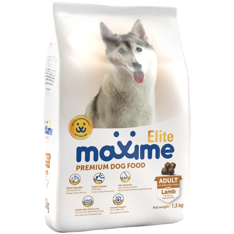 NG Hạt Maxime Elite Chó con, Chó trưởng thành