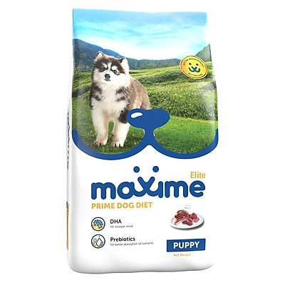 NG Hạt Maxime Elite Chó con, Chó trưởng thành