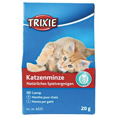 Katzenminze Trixie