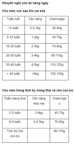 Hạt Felicia Kitten Chicken cho mèo mẹ mèo con vị Gà