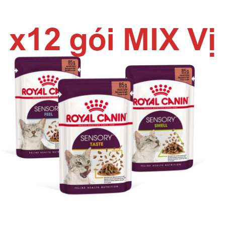 x12 gói MIX 3 vị - Pate Sensory Royal Canin Mèo (Mỗi vị 4 gói)
