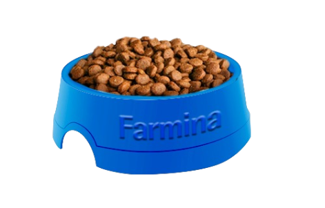 Matisse Kitten Farmina Mèo con 1 - 12 tháng Mèo mẹ , mèo con