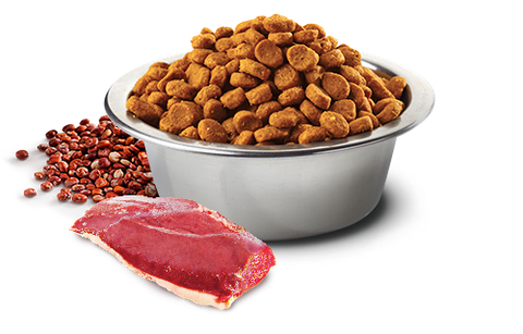 Hạt Quinoa Urinary Duck, Quinoa, Cranberry, Chamomile Farmina N&D - Hạt Vịt, Diêm mạch, Nam việt quất, Hoa cúc cho Mèo tiết niệu