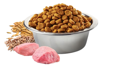 2.5kg Mini Adult DOG Ancestral Grain Chicken, Pomegranate | Hạt Farmina N&D Gà lựu cho Chó trưởng thành giống nhỏ