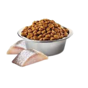 Hạt KITTEN Spirulina -Herring, Spirulina, Wolfberry | Hạt Farmina N&D Cá trích, Tảo xoắn, Kỷ tử cho Mèo con