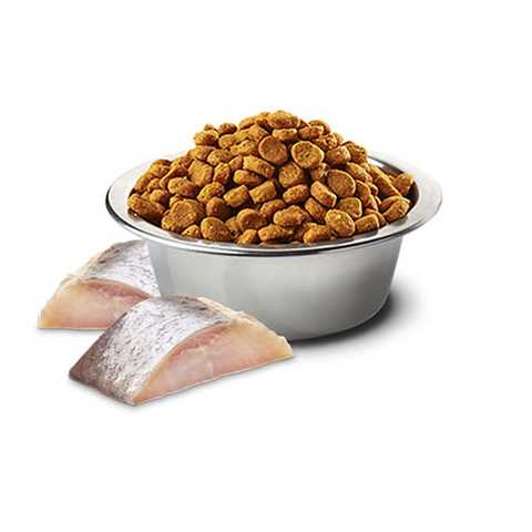 N&D Fish Monoprotein Herring, Spirulina And Wolfberry Adult Mini- Hạt Farmina Tảo xoắn cho chó trưởng thành giống nhỏ