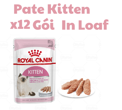 Pate Kitten Royal Canin Mèo