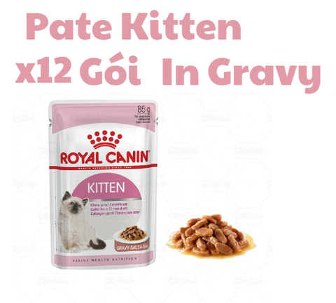 Pate Kitten Royal Canin Mèo
