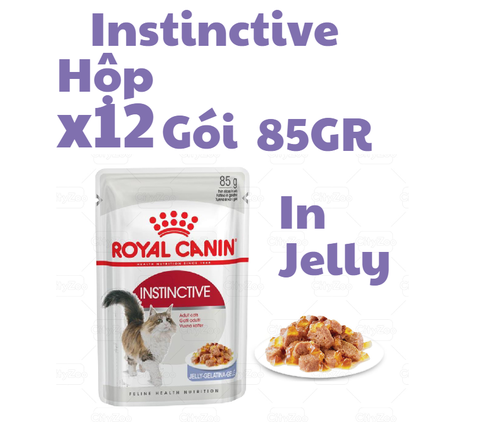 85gr Pate Instinctive Royal Canin Mèo Trưởng Thành