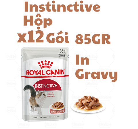 85gr Pate Instinctive Royal Canin Mèo Trưởng Thành