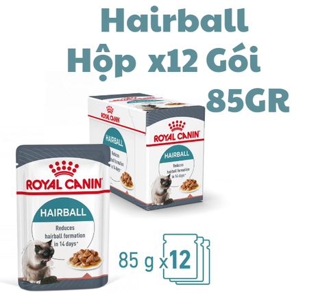 Pate Hairball Royal Canin cho Mèo hỗ trợ tiêu búi lông