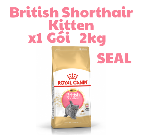 Hạt KITTEN British Shorthair Royal Canin cho Mèo con dưới 12 tháng tuổi giống Anh lông ngắn