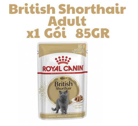 85gr Pate Adult British Shorthair Royal Canin Mèo