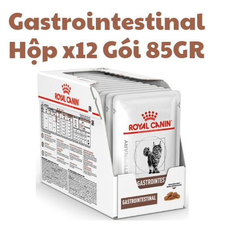 85gr Pate Gastrointestinal Royal Canin Mèo gặp vấn đề tiêu hóa