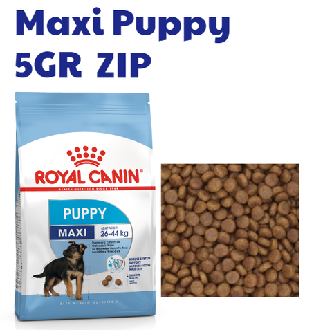 Hạt Maxi Puppy Royal Canin cho Chó con Lông dài